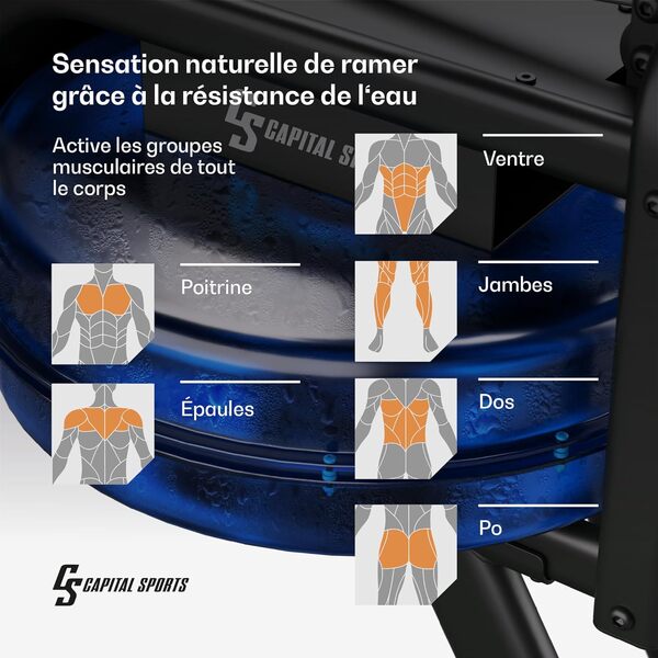 CAPITAL SPORTS Rameur, rameur à Eau Domestique, rameur à Eau 14 L avec résistance à l'eau, rameur à Eau 8 Niveaux, rameur avec Rail Coulissant de 134 cm, Bluetooth 5.0, Support de Tablette