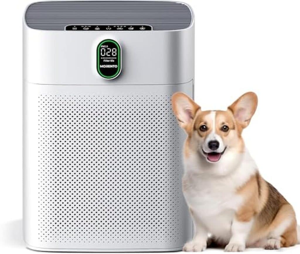 Test : purificateur d'air Morento filtre HEPA et capteur de qualité