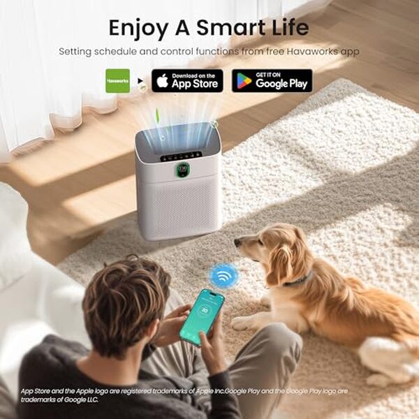 Découvrez notre test détaillé du purificateur d'air Meronte CADR 300 m³/h : performances anti-allergique, niveau sonore, efficacité et verdict final.