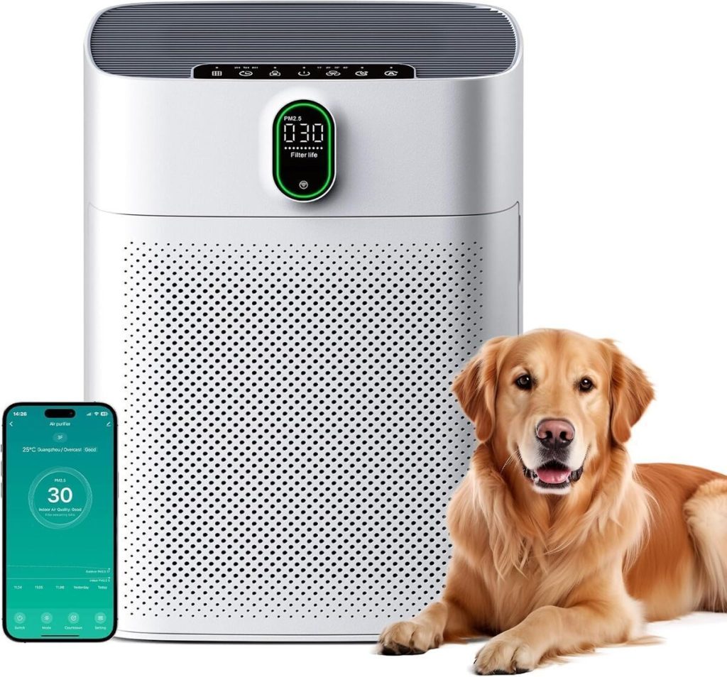 Test du purificateur d'air Meronte CADR 300 m³/h : anti-allergique et silencieux