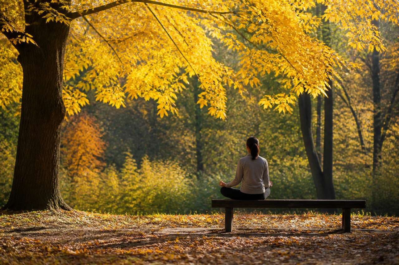 Conseils pour maintenir une bonne santé mentale en automne